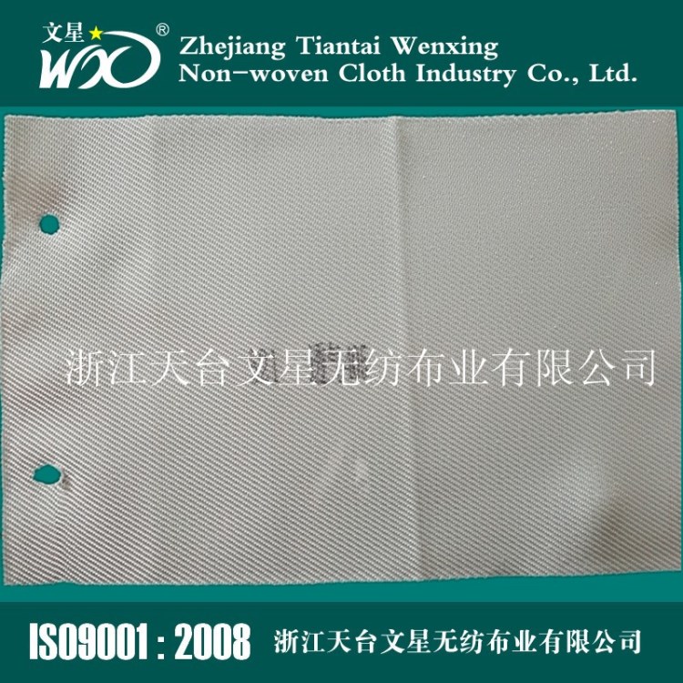 厂家直销化工厂药厂食品厂 涤纶滤布 耐用过滤材料滤布
