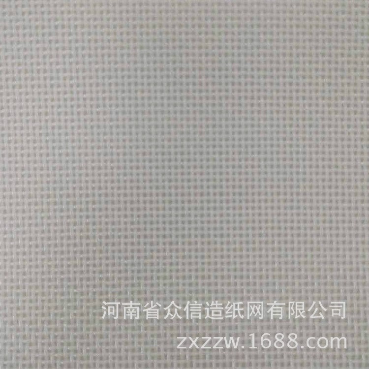 廠家 紙漿壓榨 聚酯網(wǎng)過濾網(wǎng) 聚酯平織網(wǎng) 方孔網(wǎng) 可做輸送帶