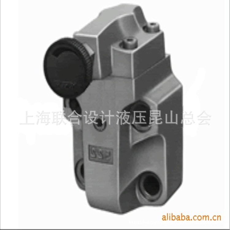 廠家直銷 BG-10 先導溢流閥