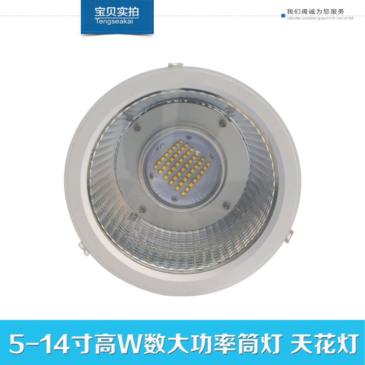 吸顶大功率天花灯 明纬50W10寸CREE LED天花灯 防眩光射灯