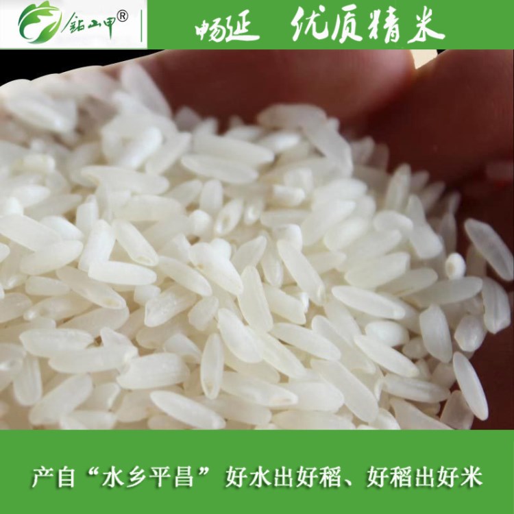 暢延蜀稻香精米5kg/袋員工福利禮品大米四川農(nóng)產(chǎn)品批發(fā)高山米