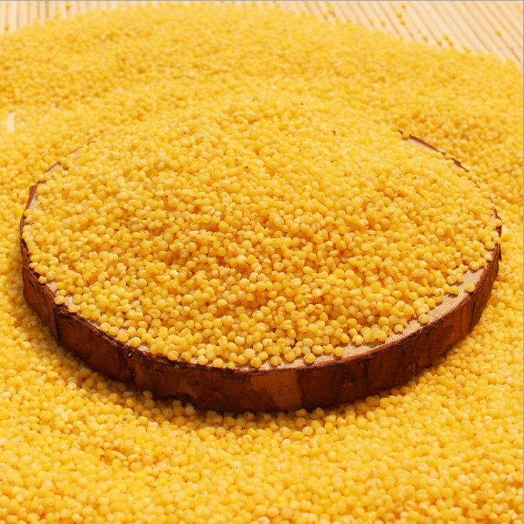 赤峰小米 有機(jī)小米 敖漢小米 農(nóng)家自產(chǎn)原糧小米批發(fā)零售
