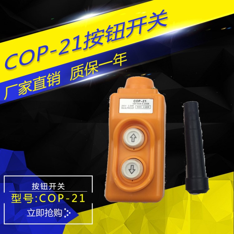 廠家直銷COP-21行車按鈕防雨起重按鈕開關(guān)COB-21電動葫蘆開關(guān)上下