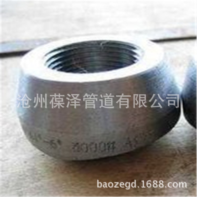 管座 對焊支管臺 鍛制管件 承插件 機加工 螺紋管臺 量大從優