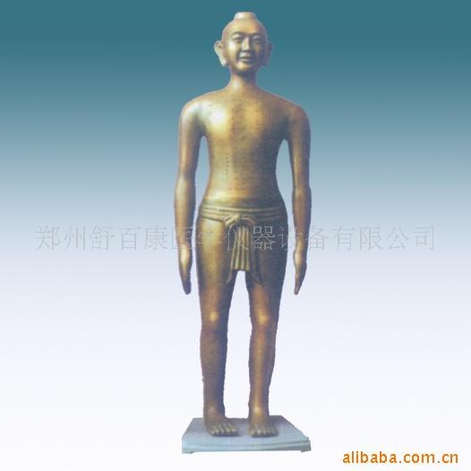 供應(yīng)仿古針灸銅人高166cm，醫(yī)學(xué)教學(xué)模型