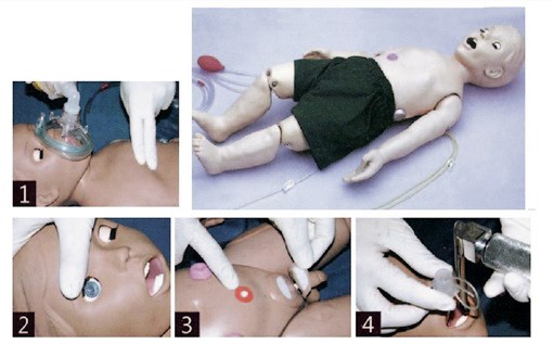 SKY/FT332全功能一岁儿童护理及CPR模拟人心肺复苏综合儿科培训