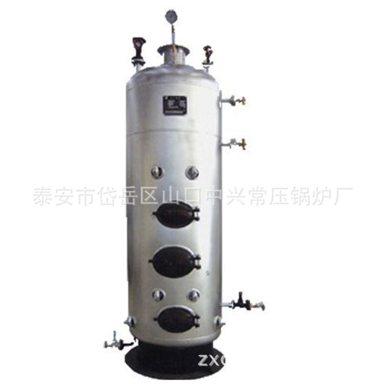 燃煤小型釀酒蒸汽鍋爐廠 立式蒸酒鍋爐 山東泰安鍋爐廠家