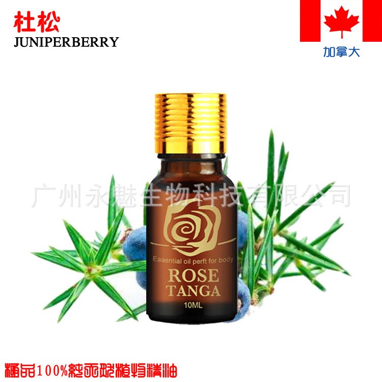 加拿大杜松JUNIPERBERRY植物單方精油養(yǎng)生藥油美容院芳療批發(fā)