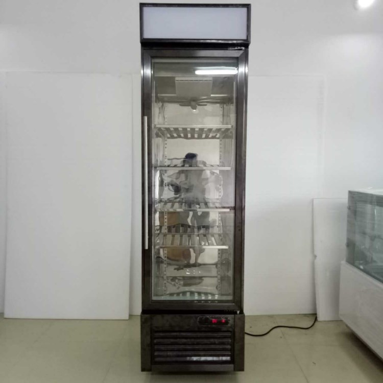 單門(mén)玻璃門(mén)冷凍展示柜glass door freezer display cabinet