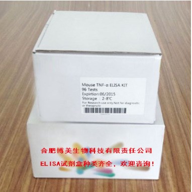 人&gamma;干扰素诱导单核细胞因子(MIGF/CXCL9)ELISA Kit  试剂盒 48T