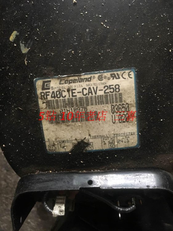 RF40C1E-CAV-250 原裝谷輪制冰機(jī) 紅酒柜壓縮機(jī) R404A