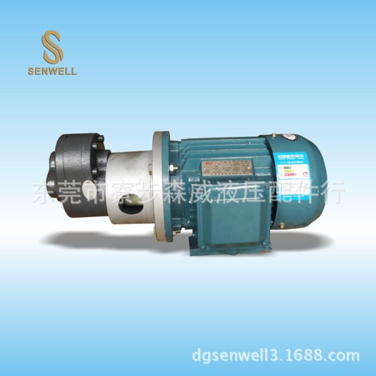 供應實拍齒輪泵電機組合0.75KW-6P+CB-B50 三相6極電機 質高價優(yōu)
