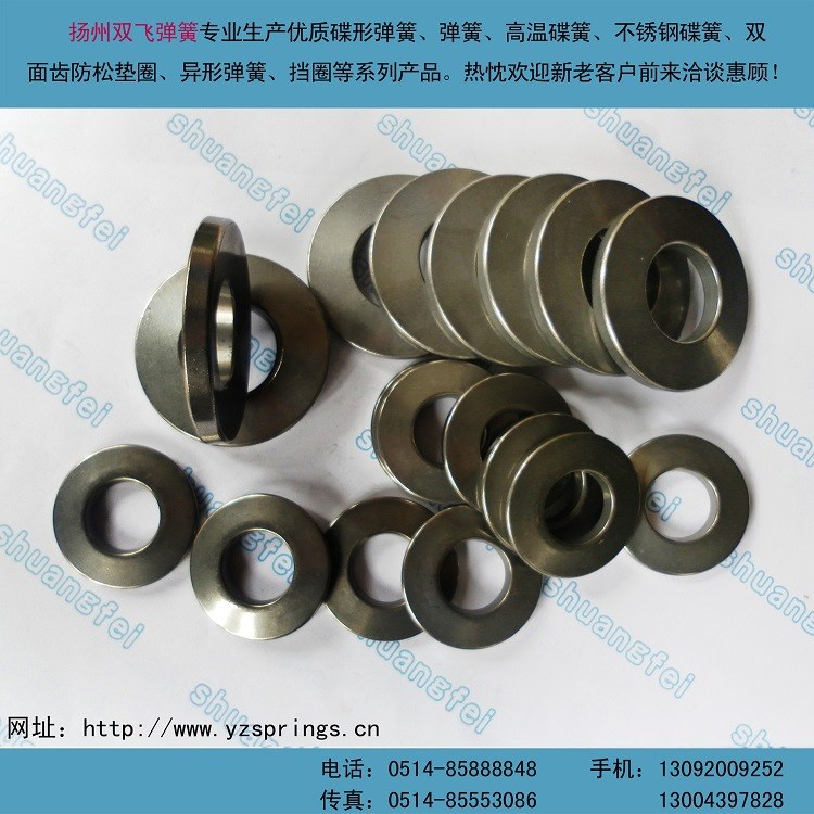 防腐防銹蝶形彈簧 高溫碟簧