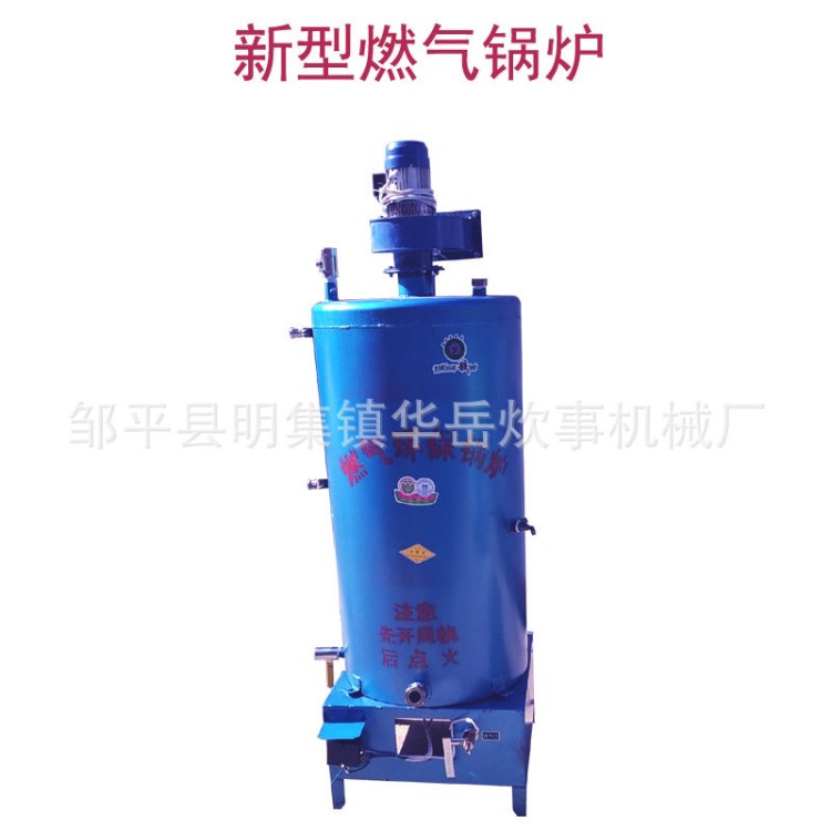 華岳100-300平燃氣供暖鍋爐 家用小型立式采暖爐 暖氣片地暖熱水