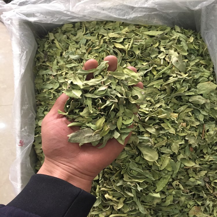 批发花草茶罗布麻叶罗布麻茶散装量大从优