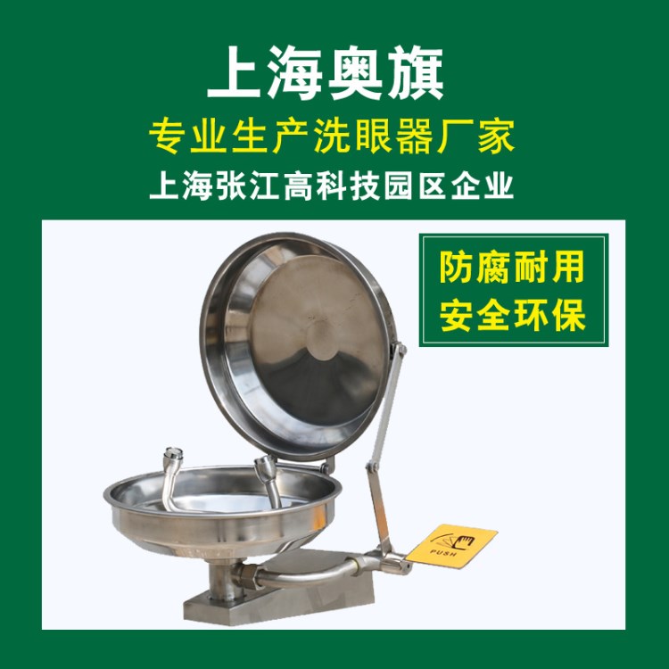 廠家直銷洗眼器BTG12經(jīng)濟(jì)型掛壁式洗眼器304不銹鋼