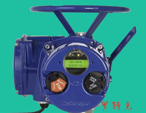 美國利米托克Limitorque電動執(zhí)行機(jī)構(gòu)MX-05