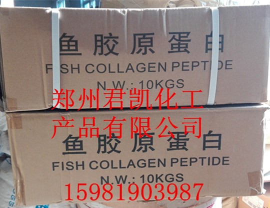 廠價(jià)供應(yīng) 食品級(jí)  魚(yú)膠原蛋白  可分裝魚(yú)膠原蛋白粉