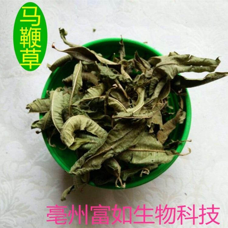 批發(fā)供應(yīng) 花草茶馬鞭草 馬鞭草花茶 國產(chǎn)中草藥馬鞭草 散裝