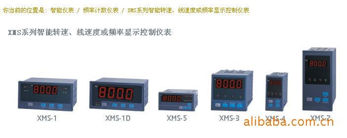 供應(yīng)XMS系列智能轉(zhuǎn)速 線速度或頻率顯示控制儀表