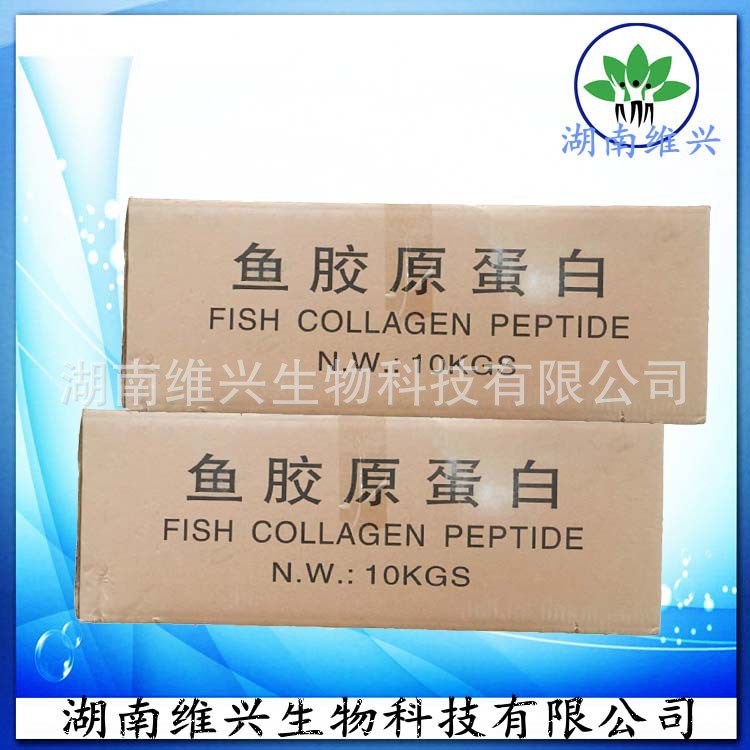 長期供應(yīng) 食品級 魚膠原蛋白肽 1000道爾頓 魚膠原蛋白 量大優(yōu)惠