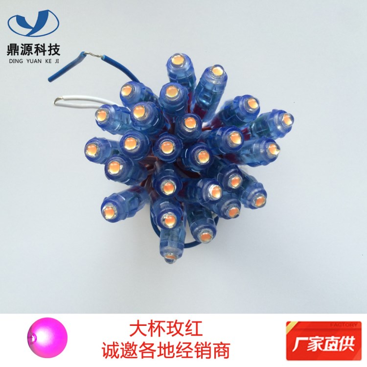 led5VФ9mm草帽玫紅光外露燈串led穿孔燈珠鐵皮發光字門頭專用
