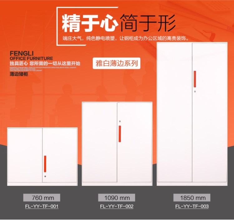 豐力加厚文件柜 鐵皮柜  鋼制儲物柜  新款薄邊柜  0.8MM加厚鋼板