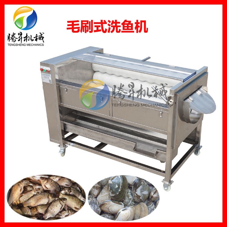 大型花生清洗機 馬蹄去泥機 胡蘿卜清洗脫皮設備 多種物料適用