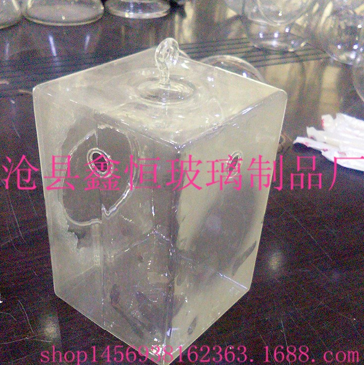 廠家直銷(xiāo)吹制玻璃方掛件  定制 創(chuàng)意微景觀玻璃工藝品家具裝飾