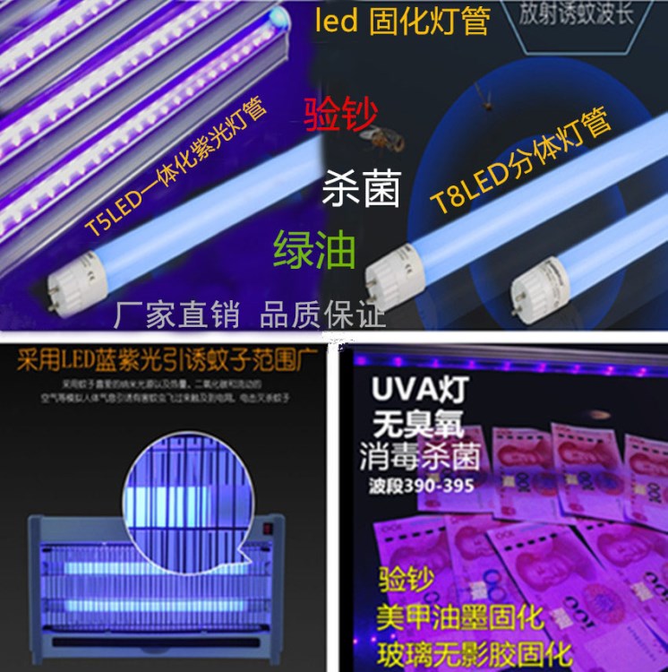 ledT8紫光燈管 T5 LED紫光燈管 家用殺菌除螨燈管