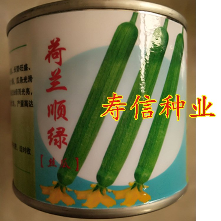 泰國引進一代雜交 順綠絲瓜種子 耐熱 抗寒 耐運輸連續坐果 20克