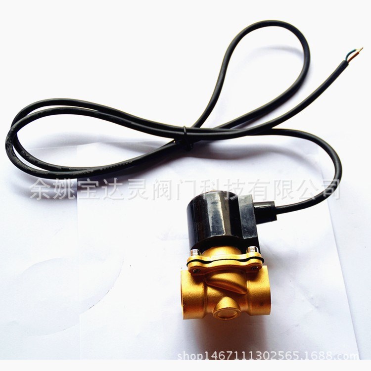 2W-200-20兩通式 直動(dòng)式 常閉型 全銅水下噴泉跑泉 6分電磁閥