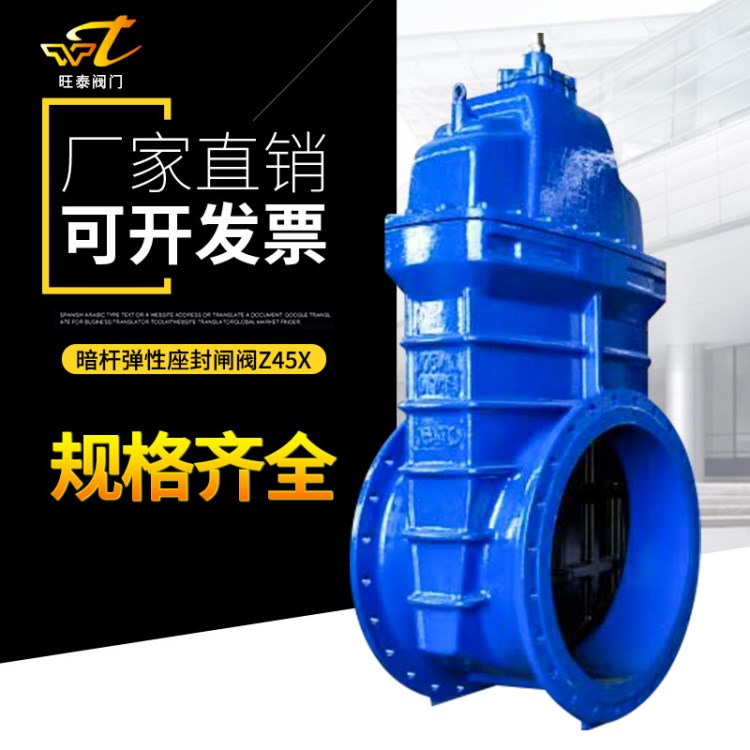 Z45X 大口徑暗桿軟密封閘閥 彈性座封閘閥 法蘭暗桿閘閥球墨鑄鐵