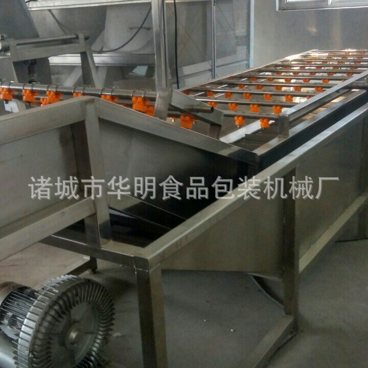 全自動(dòng)氣泡清洗機(jī) 休閑食品加工成套設(shè)備 廠家直銷  低價(jià)銷售