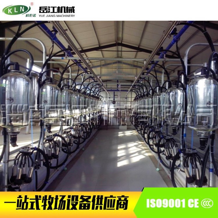 魚骨式擠奶機 擠奶設(shè)備 計量瓶式