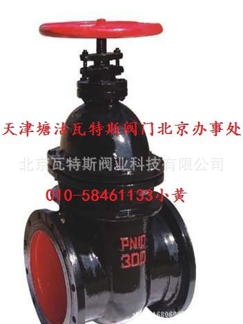 天津塘沽瓦特斯鑄鐵暗桿雙閘板閘閥 閘閥 Z45T/W-16 DN40-DN300