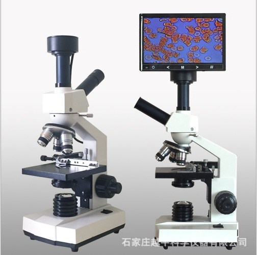 震撼低价 带屏幕一滴血检测仪   数码生物显微仪  液晶显示