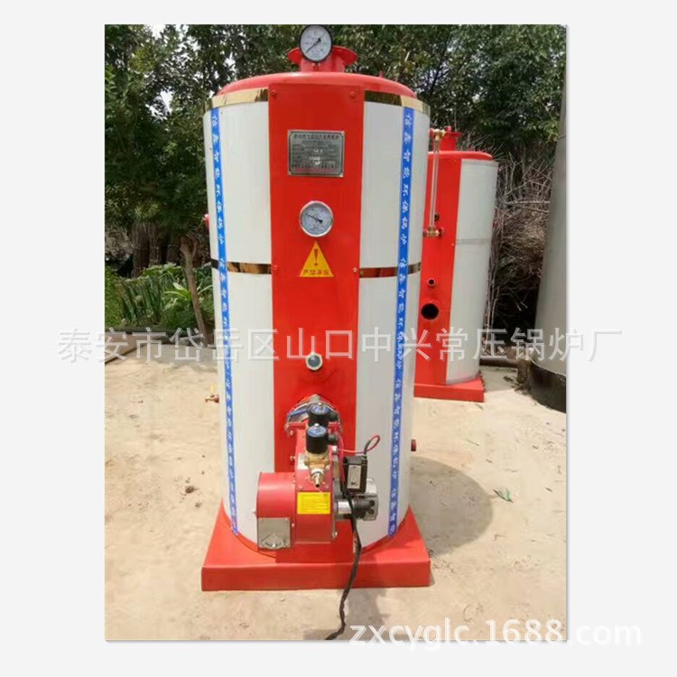 天然氣小型蒸汽鍋爐 液化氣汽水兩用鍋爐 燃?xì)馊∨仩t 節(jié)能