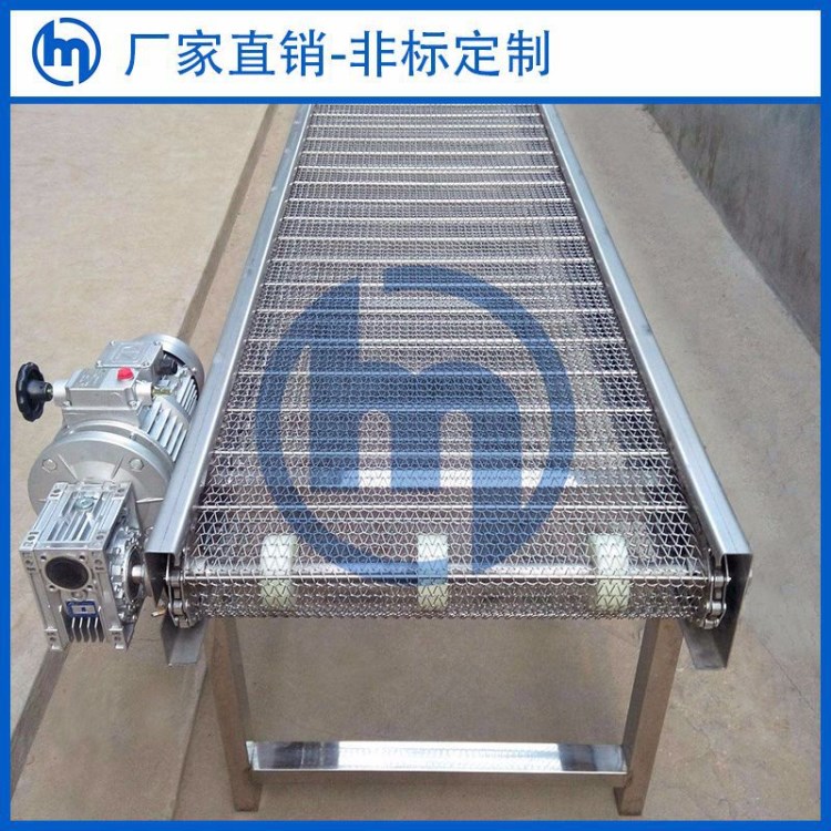 東莞鏈板輸送線 網鏈輸送線 自動化鏈板線設備廠家