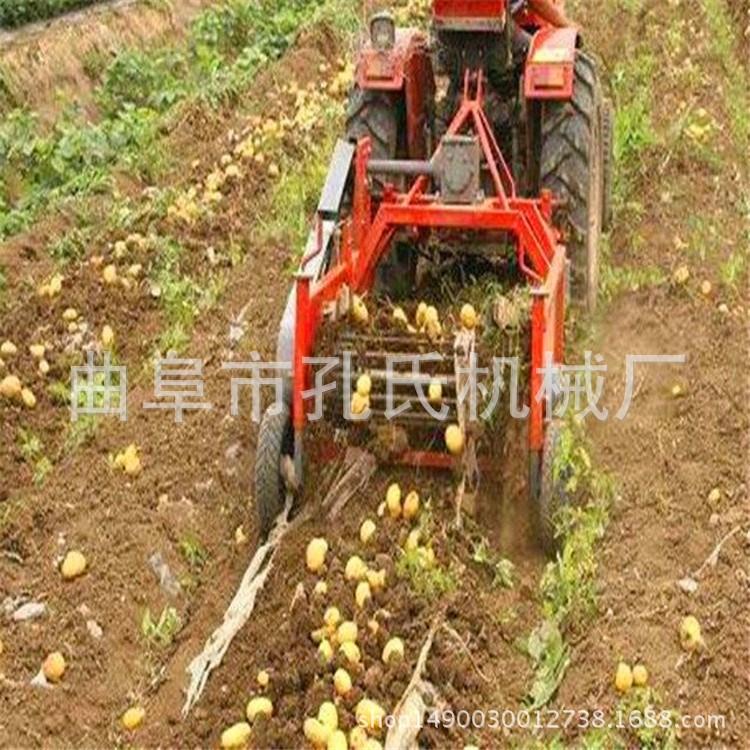 洋山芋收获机 手扶四轮牵引式土豆收获机 人参苜蓿收获机