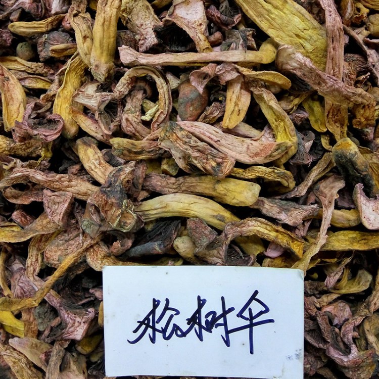 東北長白山特產(chǎn)紅蘑菇野生松樹傘gu 紅松蘑干蘑菇長白山紅菇批發(fā)