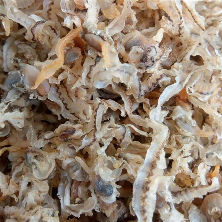 整箱扇貝邊新鮮扇貝裙邊干貝邊扇貝唇美味食材跑江湖展銷會(huì)
