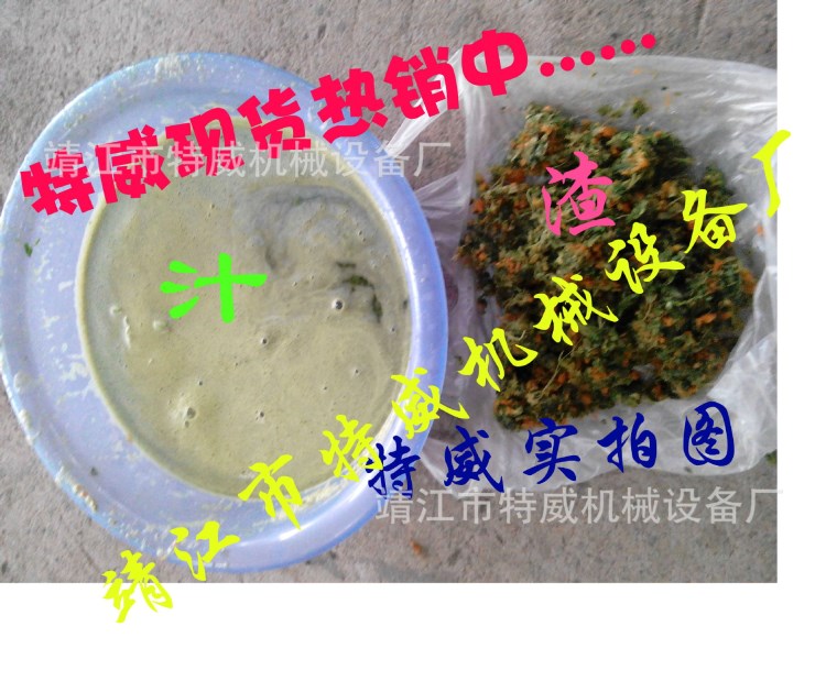 供應(yīng)LZ-1螺旋榨汁機(jī)  食品衛(wèi)生中型螺旋榨汁機(jī) 梨蘋果果汁壓榨機(jī)