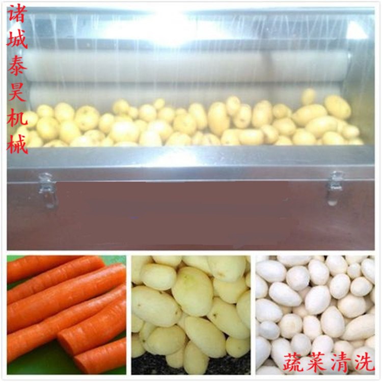 廠家定制鮮姜清洗機 姜牙清洗機 生姜清洗去泥機 大姜清洗機