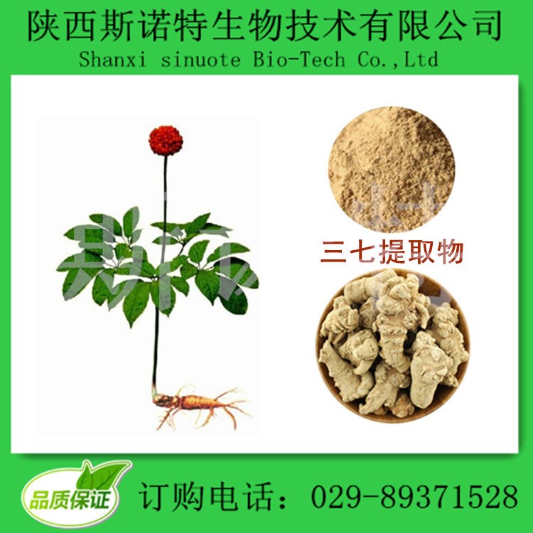 【廠家現(xiàn)貨】三七提取物 三七總皂苷10% 另有三七多糖10%-30%