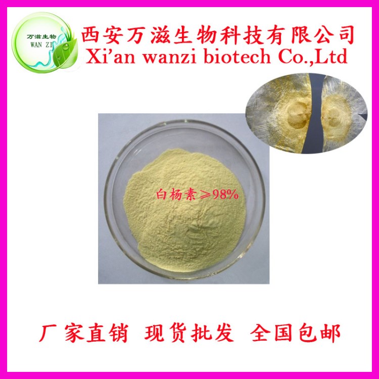 白楊素98%木蝴蝶提物 現(xiàn)貨供應 質(zhì)量 歡迎來電洽談