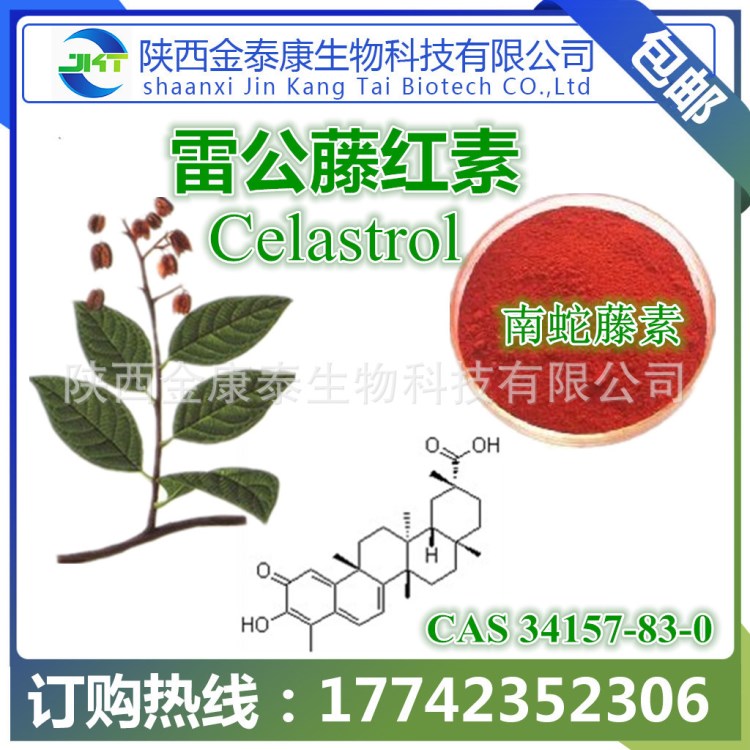 雷公藤提取物 雷公藤紅素98% 南蛇藤素 Celastrol CAS#34157-83-0