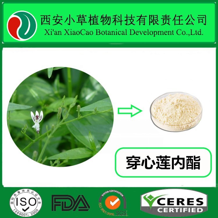 穿心莲内酯50% 98%   穿心莲提取  厂家大量现货供应