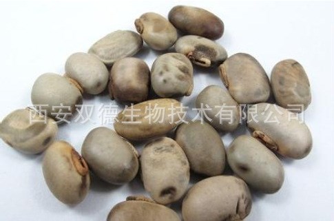 左旋多巴Mucuna extract