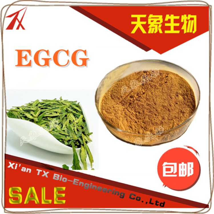 EGCG 50% -98% 表沒食子兒茶素沒食子酸酯 天然綠茶提取物 包郵